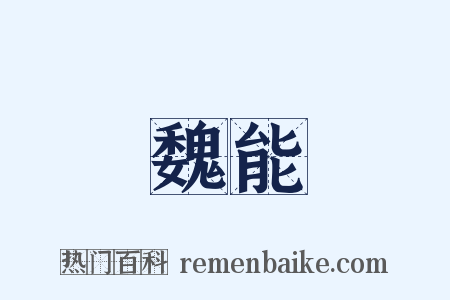 魏能是什么意思的图片